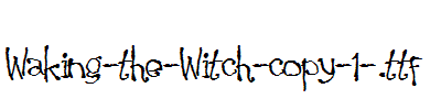 Waking-the-Witch-copy-1-.ttf