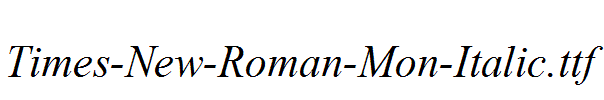 Times-New-Roman-Mon-Italic.ttf