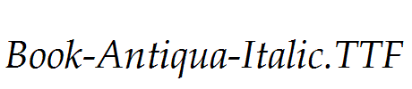 Book-Antiqua-Italic.ttf