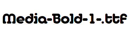 Media-Bold-1-.ttf