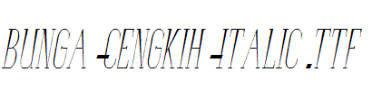 Bunga-Cengkih-Italic.ttf