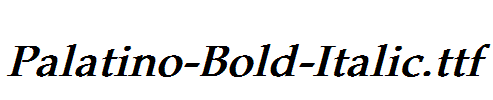 Palatino-Bold-Italic.ttf