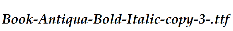 Book-Antiqua-Bold-Italic-copy-3-.ttf