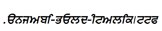 Punjabi-Bold-Italic.ttf