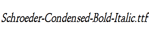 Schroeder-Condensed-Bold-Italic.ttf