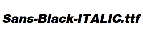 Sans-Black-ITALIC.ttf