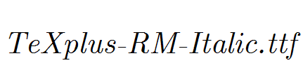 TeXplus-RM-Italic.ttf