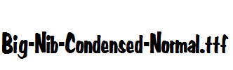 Big-Nib-Condensed-Normal.ttf