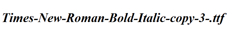 Times-New-Roman-Bold-Italic-copy-3-.ttf