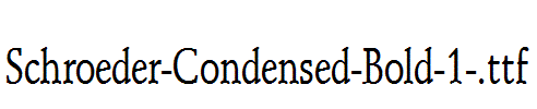 Schroeder-Condensed-Bold-1-.ttf