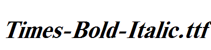 Times-Bold-Italic.ttf