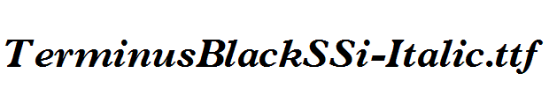 TerminusBlackSSi-Italic.ttf