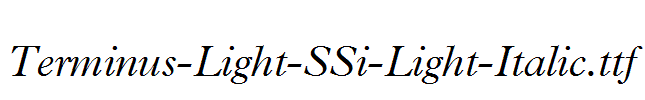 Terminus-Light-SSi-Light-Italic.ttf