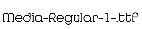 Media-Regular-1-.ttf