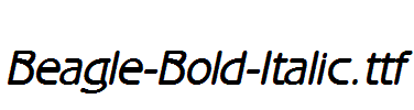 Beagle-Bold-Italic.ttf