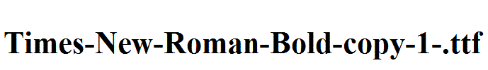 Times-New-Roman-Bold-copy-1-.ttf