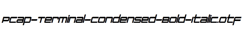 PCap-Terminal-Condensed-Bold-Italic.otf