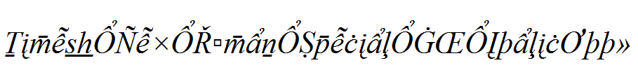 Times-New-Roman-Special-G2-Italic.ttf