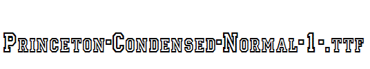 Princeton-Condensed-Normal-1-.ttf