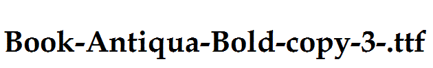 Book-Antiqua-Bold-copy-3-.ttf