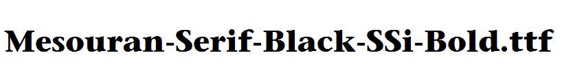 Mesouran-Serif-Black-SSi-Bold.ttf