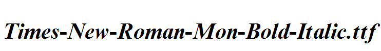 Times-New-Roman-Mon-Bold-Italic.ttf