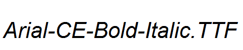 Arial-CE-Bold-Italic.ttf