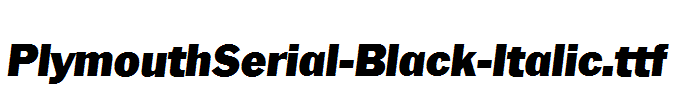 PlymouthSerial-Black-Italic.ttf