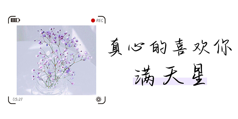 方正手跡-真心的喜歡你滿天星