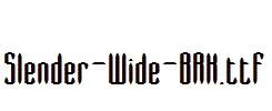 Slender-Wide-BRK.ttf