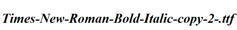 Times-New-Roman-Bold-Italic-copy-2-.ttf