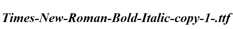 Times-New-Roman-Bold-Italic-copy-1-.ttf