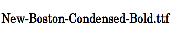 New-Boston-Condensed-Bold.ttf