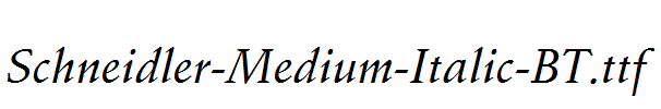 Schneidler-Medium-Italic-BT.ttf