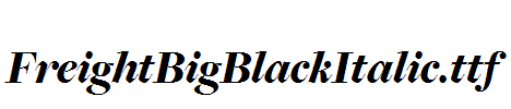 FreightBigBlackItalic.ttf