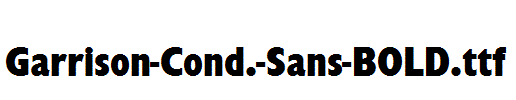 Garrison-Cond.-Sans-BOLD.ttf