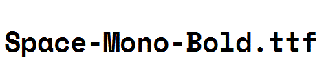 Space-Mono-Bold.ttf