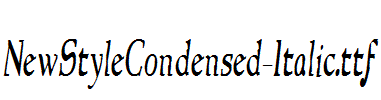 NewStyleCondensed-Italic.ttf