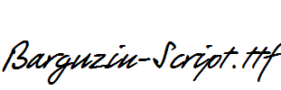 Barguzin-Script.ttf