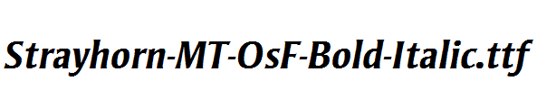 Strayhorn-MT-OsF-Bold-Italic.ttf