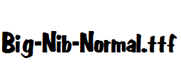 Big-Nib-Normal.ttf