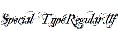 Special-TypeRegular.ttf