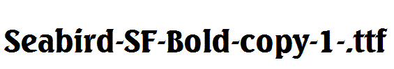 Seabird-SF-Bold-copy-1-.ttf