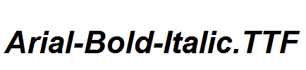 Arial-Bold-Italic.ttf