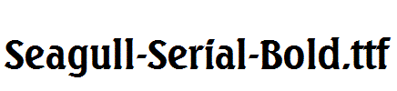 Seagull-Serial-Bold.ttf