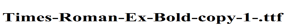 Times-Roman-Ex-Bold-copy-1-.ttf