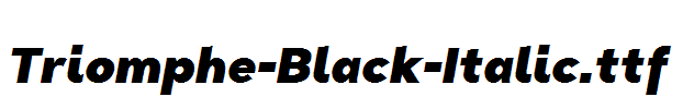 Triomphe-Black-Italic.ttf