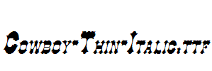 Cowboy-Thin-Italic.ttf