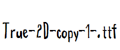 True-2D-copy-1-.ttf