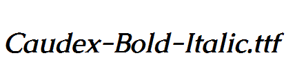 Caudex-Bold-Italic.ttf